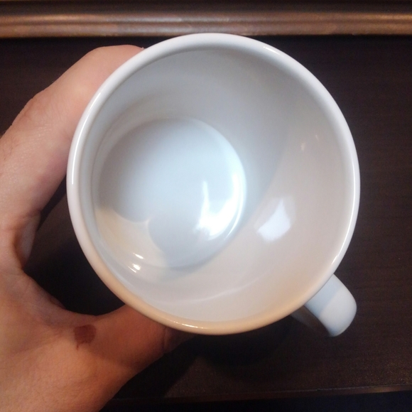 🌎 Flat Earth ☕ Coffee Mug Cup Conspiracy Theory 😊 Planet Space 🌌 FlatEarth - Picture 4 of 6